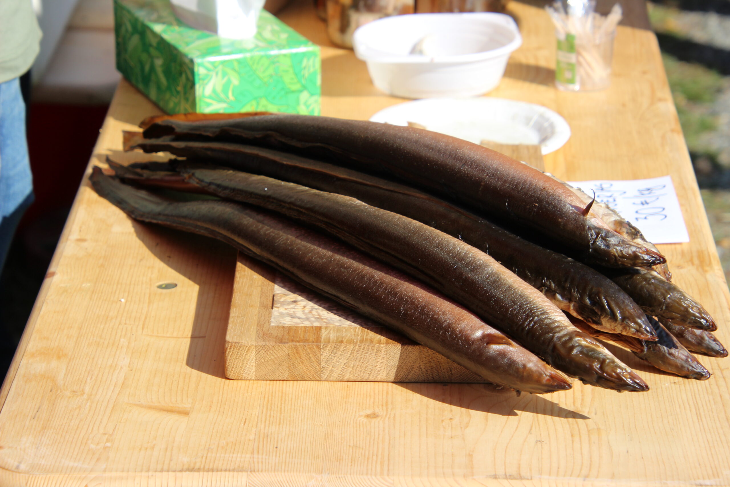 Angerjas on kala, mille kalorite väärtus on võrreldav rasvase sealihaga. Foto Raimo Metsamärt.