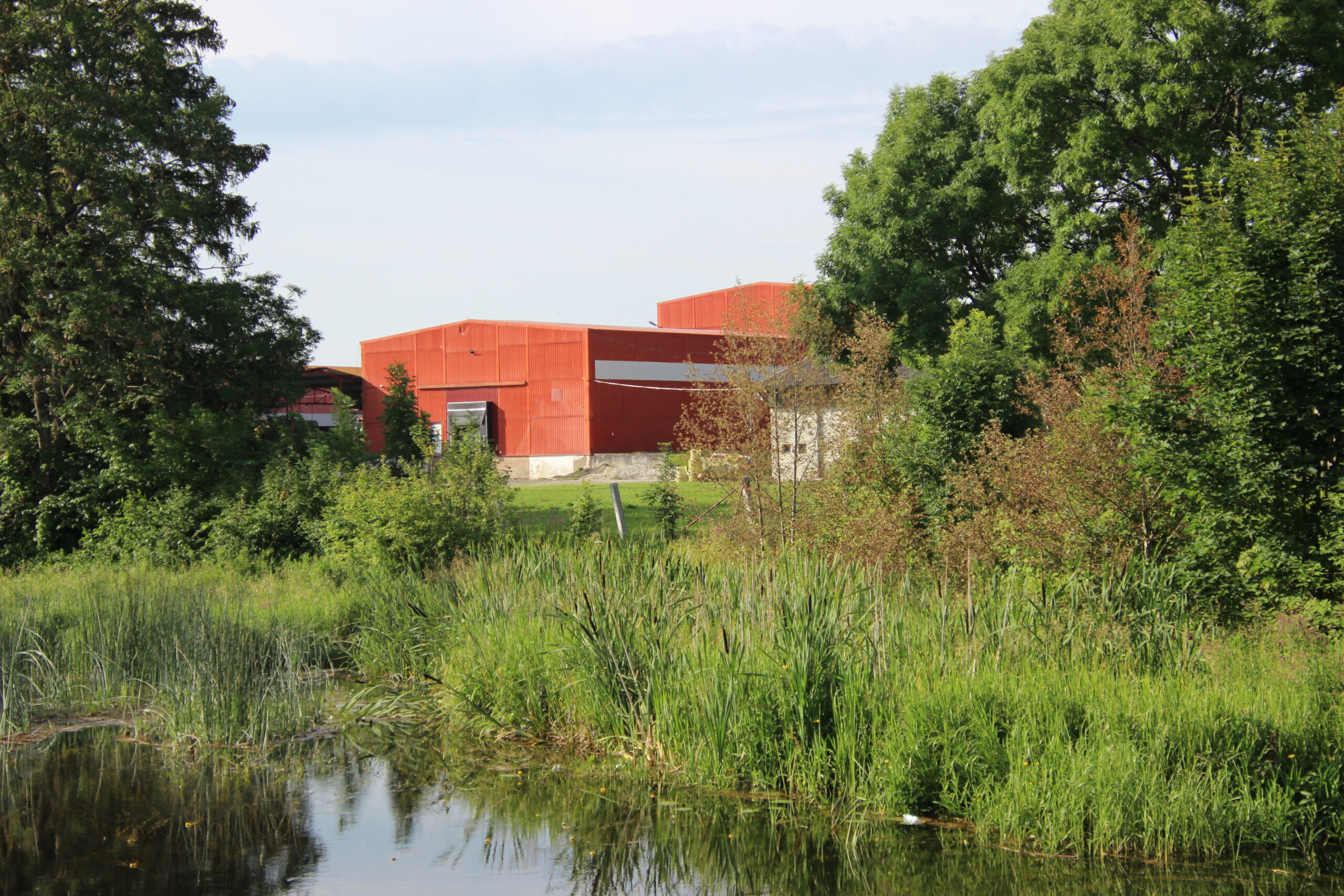 Kallasrada, mis praegu on alles aimatav, asub ka Orkla tehasega piirneval alal.
