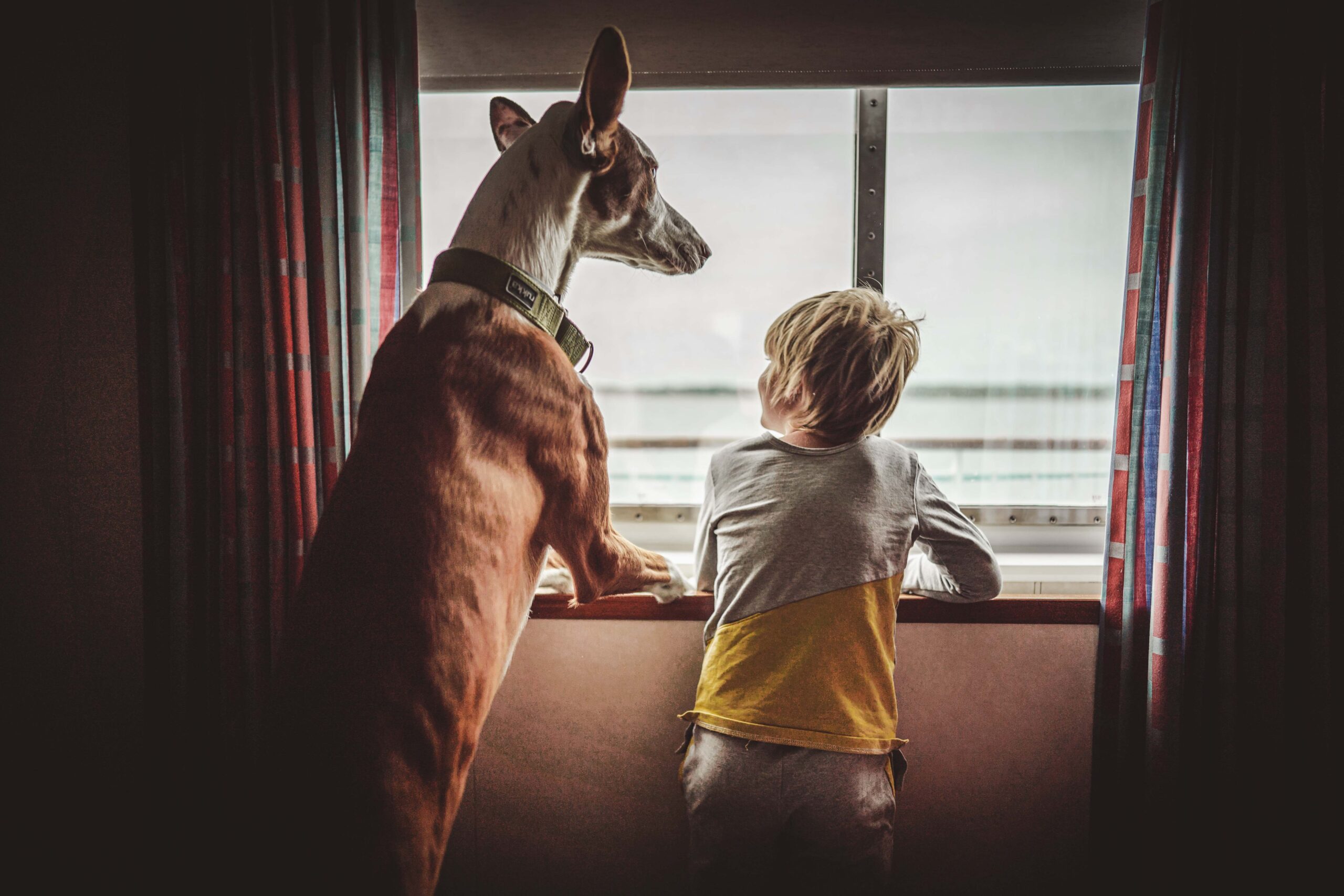 Laps ja koer. Foto Kristiina Tammik