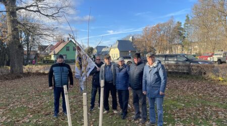 Tamm istutati pastoraadi kõrval asuvasse parki. Foto erakogu.