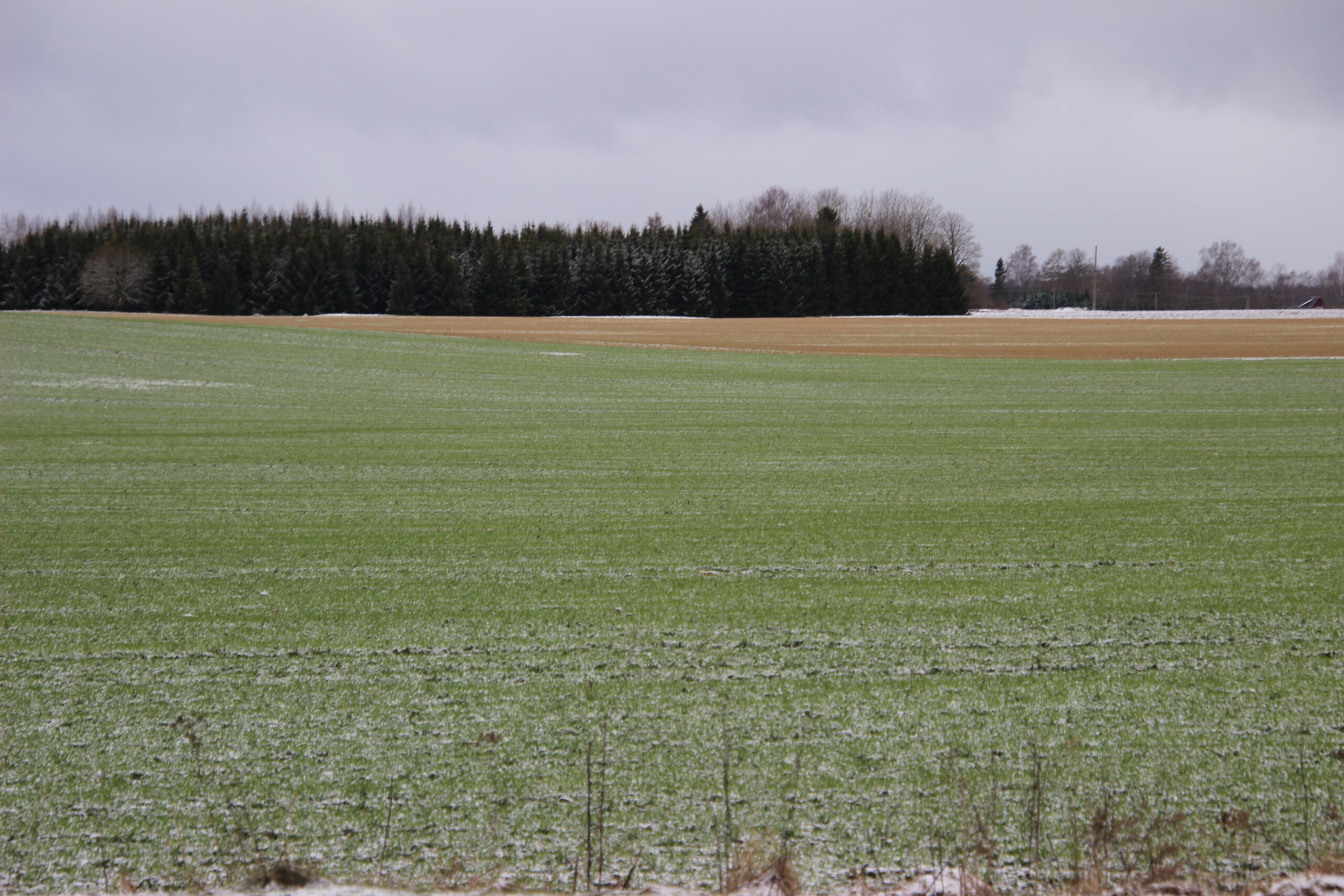 Põld veebruaris. Illustreeriv foto.