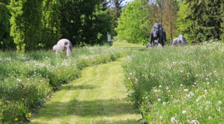 Niitmine on viimastel aastatel olnud probleemiks. Loodetavasti laheneb see mure peagi. Foto Raimo Metsamärt