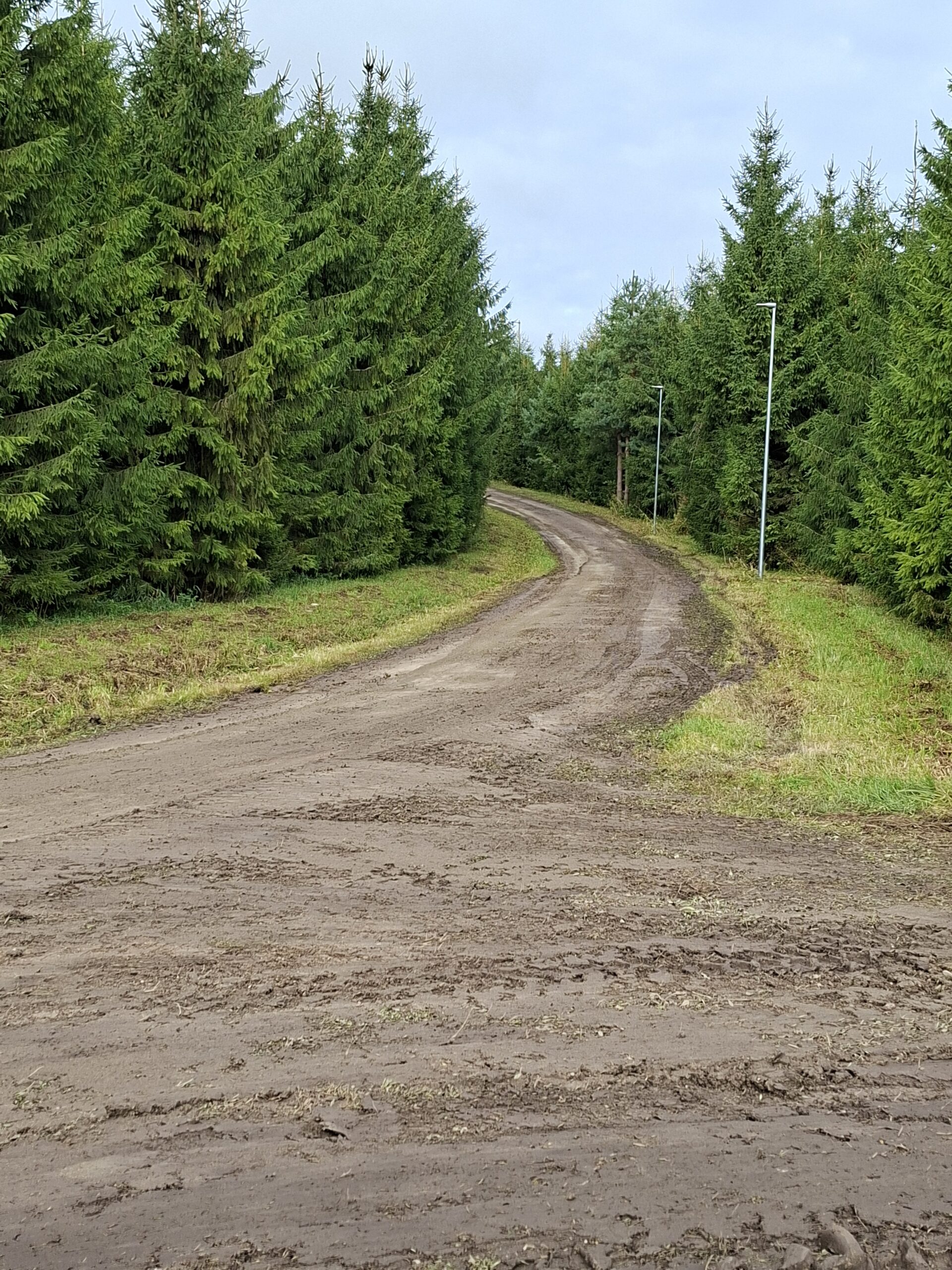 Foto Raimo Metsamärt