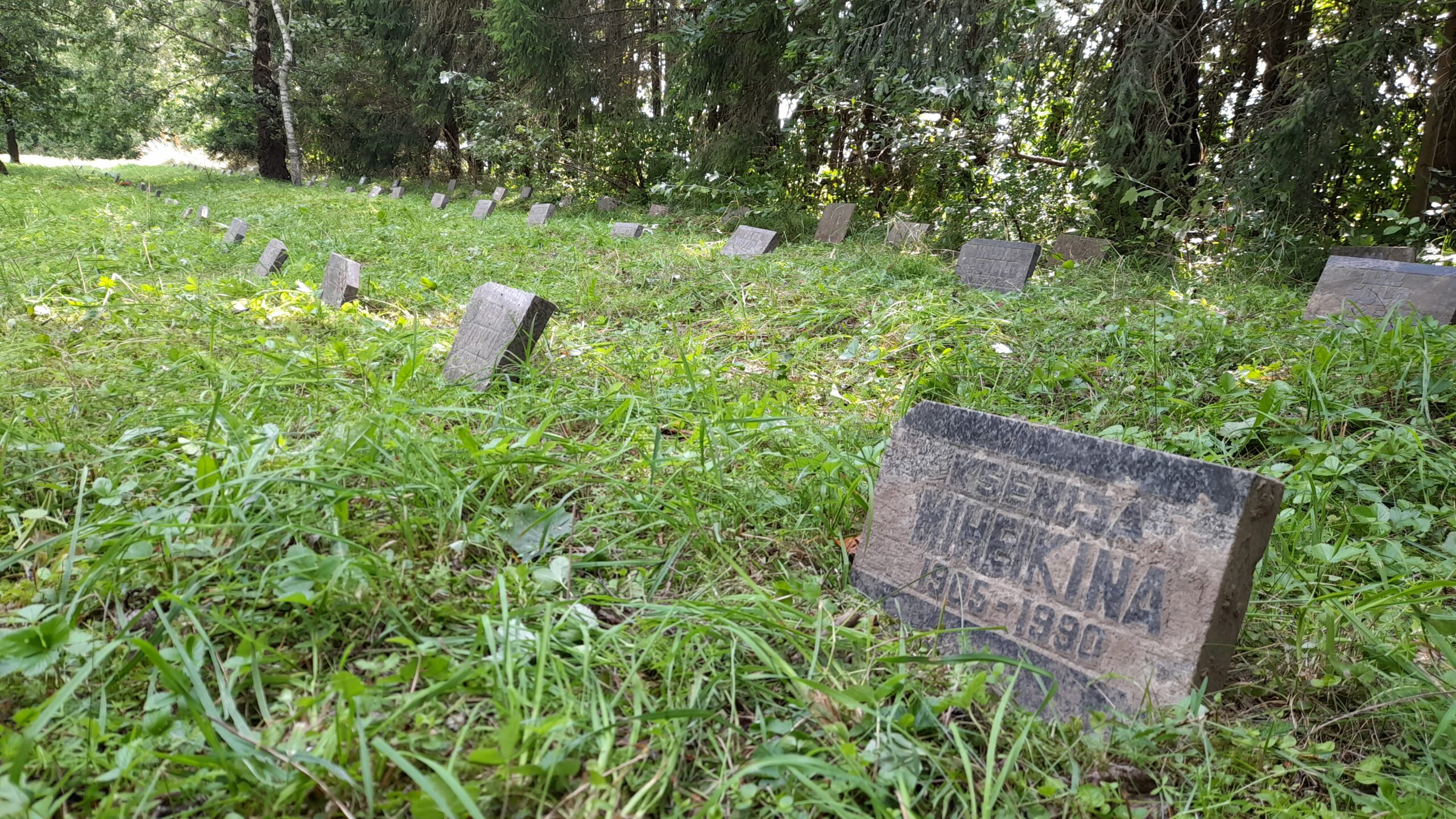 Võisiku kalmistu on hooldamata ja nukras seisus. Foto Raivo Suni