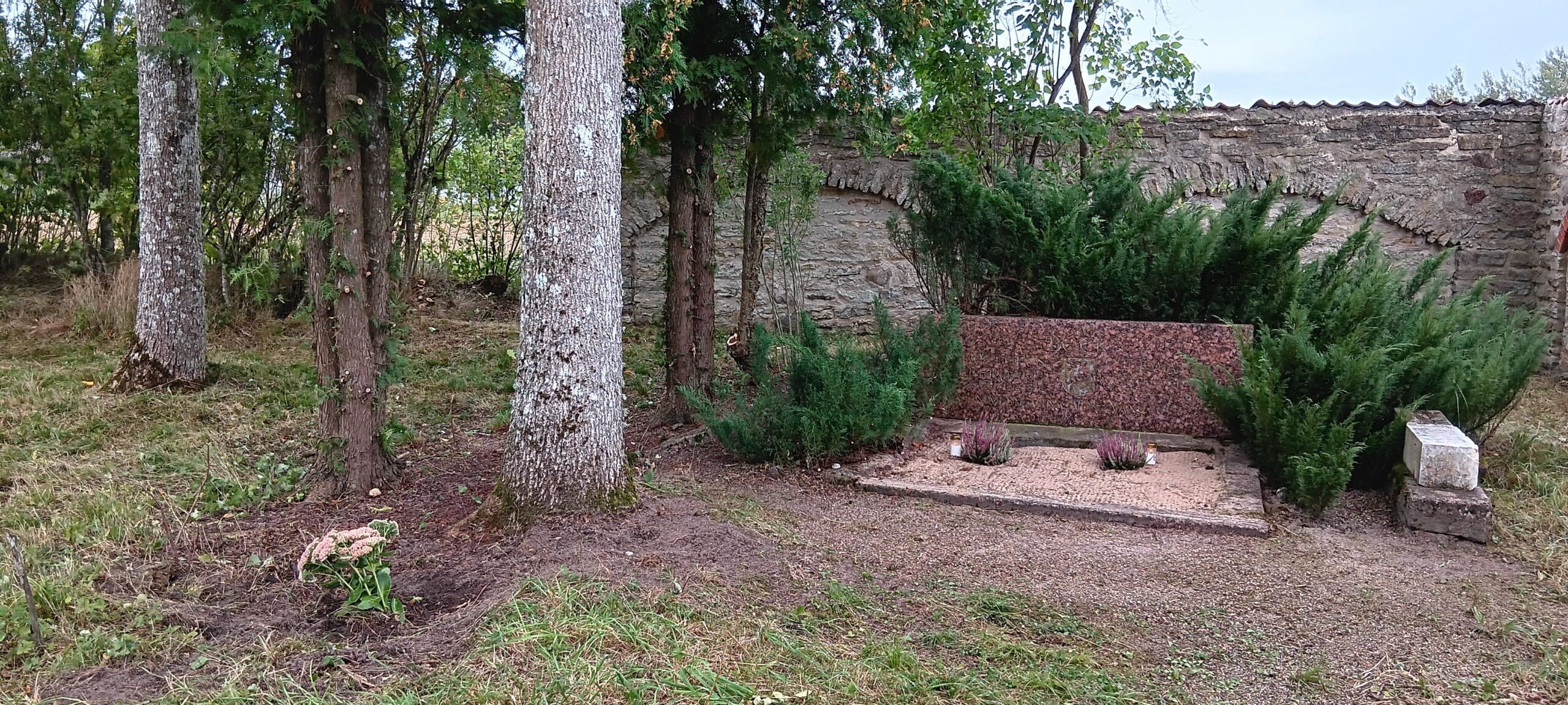 Foto erakogu
