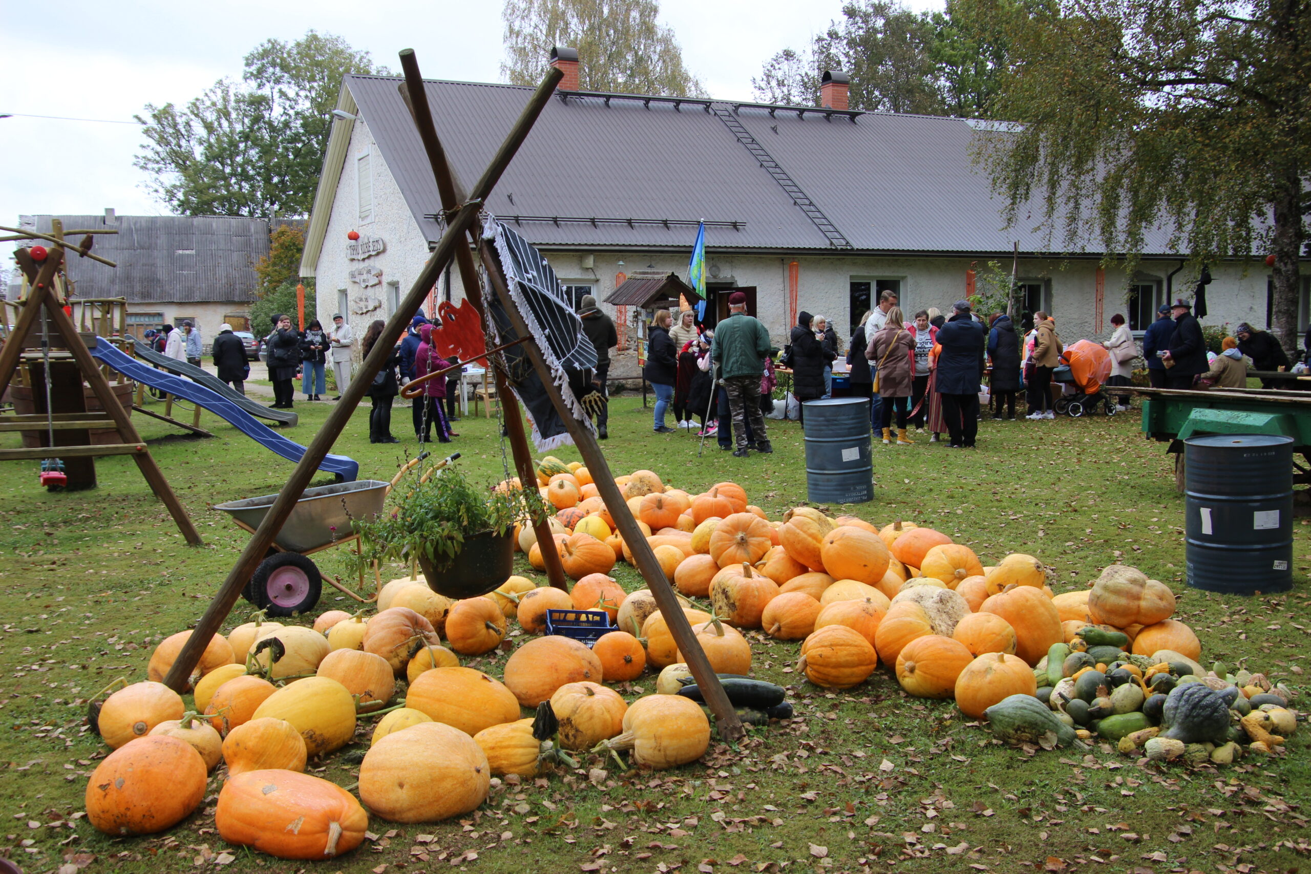 Platsil oli väga erinevas suuruses kõrvitsaid. Foto Raimo Metsamärt