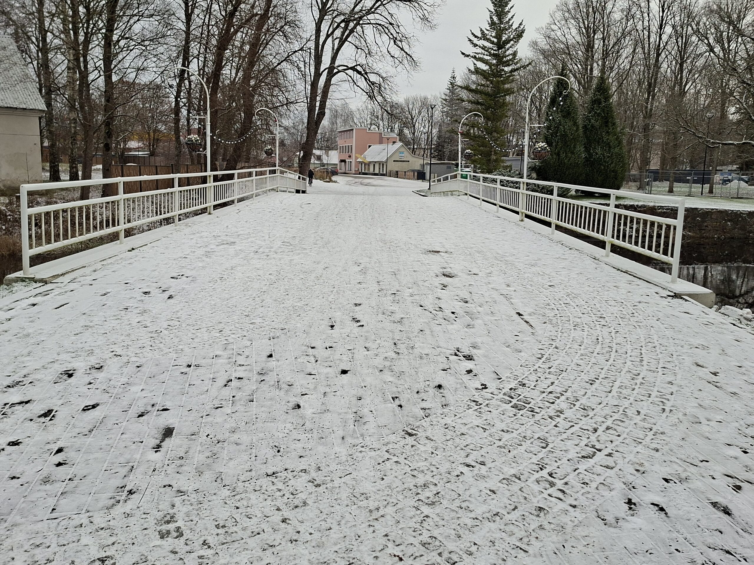 Illustreeriv foto. November Roosisaarel. Foto Raimo Metsamärt