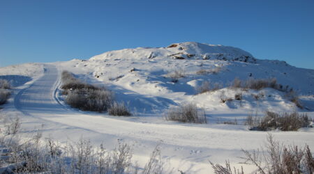 Kuningamägi. Foto on illustreeriv. Foto Raimo Metsamärt