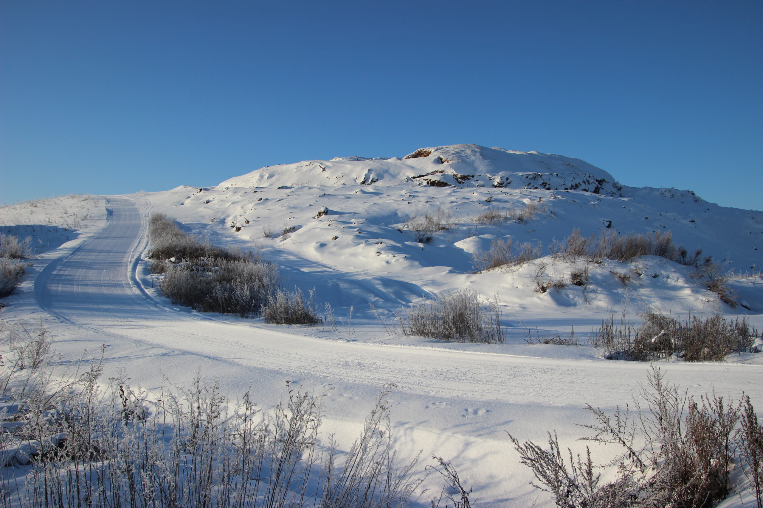 Kuningamägi. Foto on illustreeriv. Foto Raimo Metsamärt