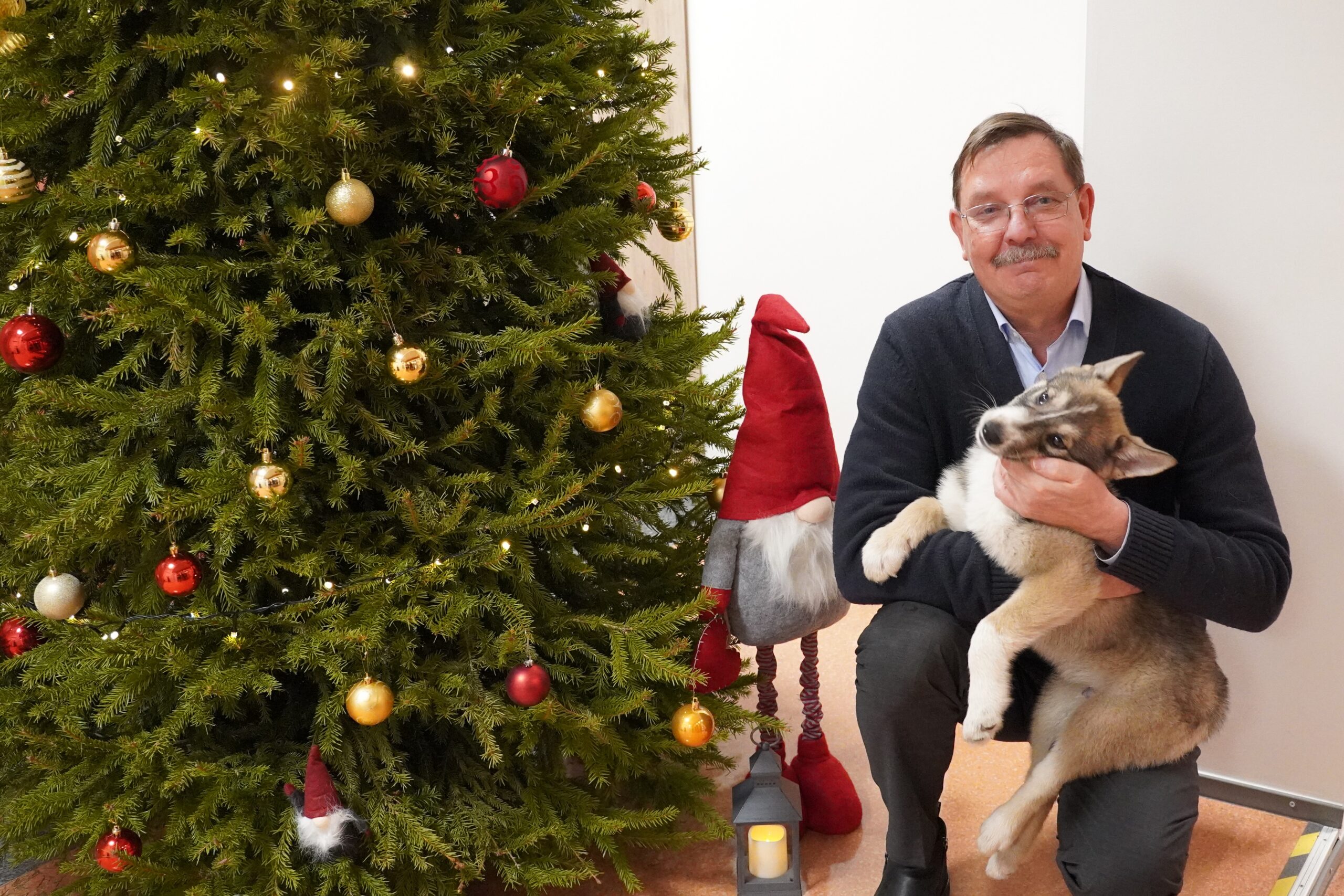 Foto Samuel Axel Maikalu