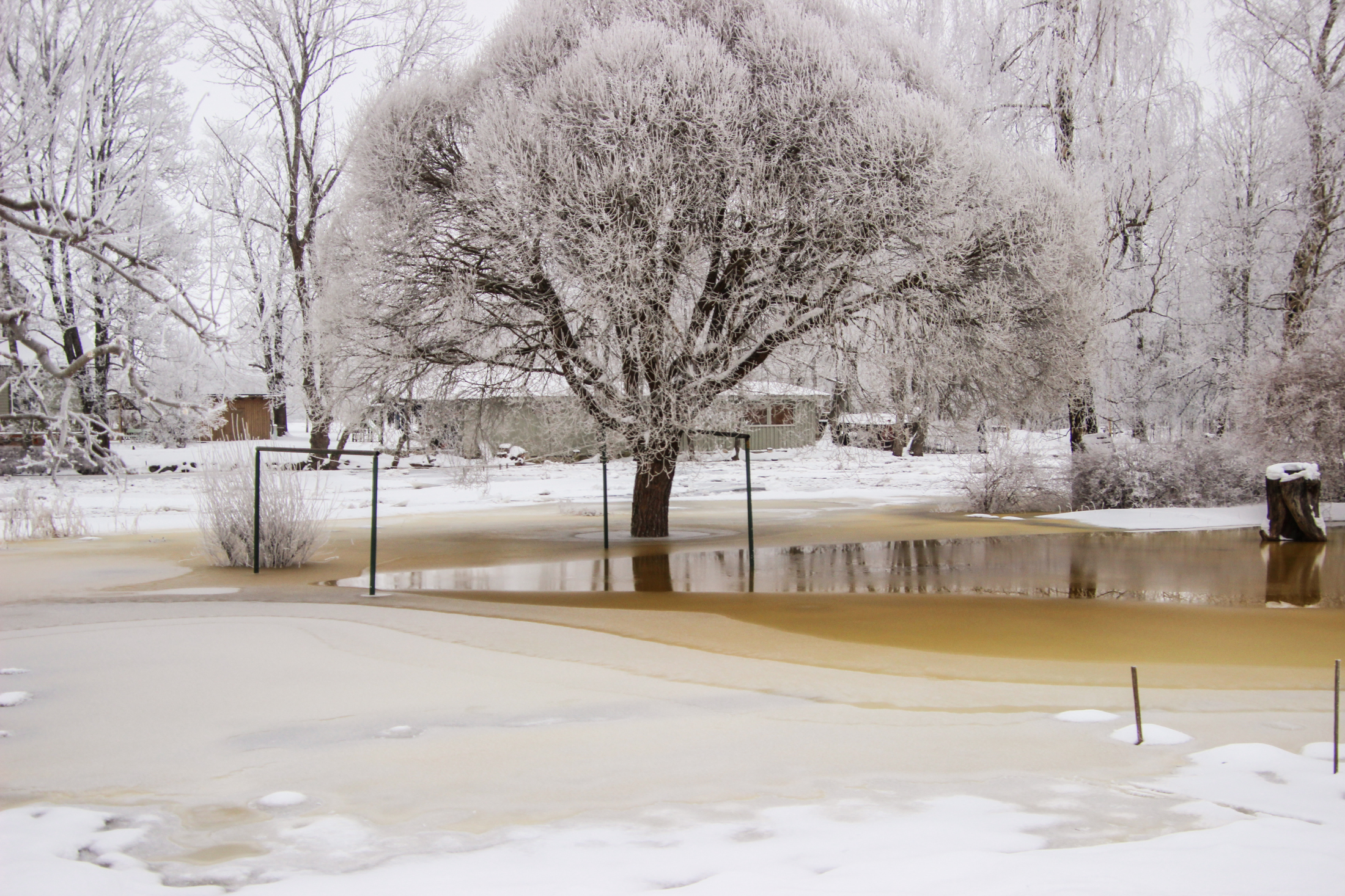 Jõgi hakkas pahandust tegema juba Lossi tänaval. Maja nr 10 juures ujutas jõgi üle kuurid ja lillepeenrad. Foto Raimo Metsamärt