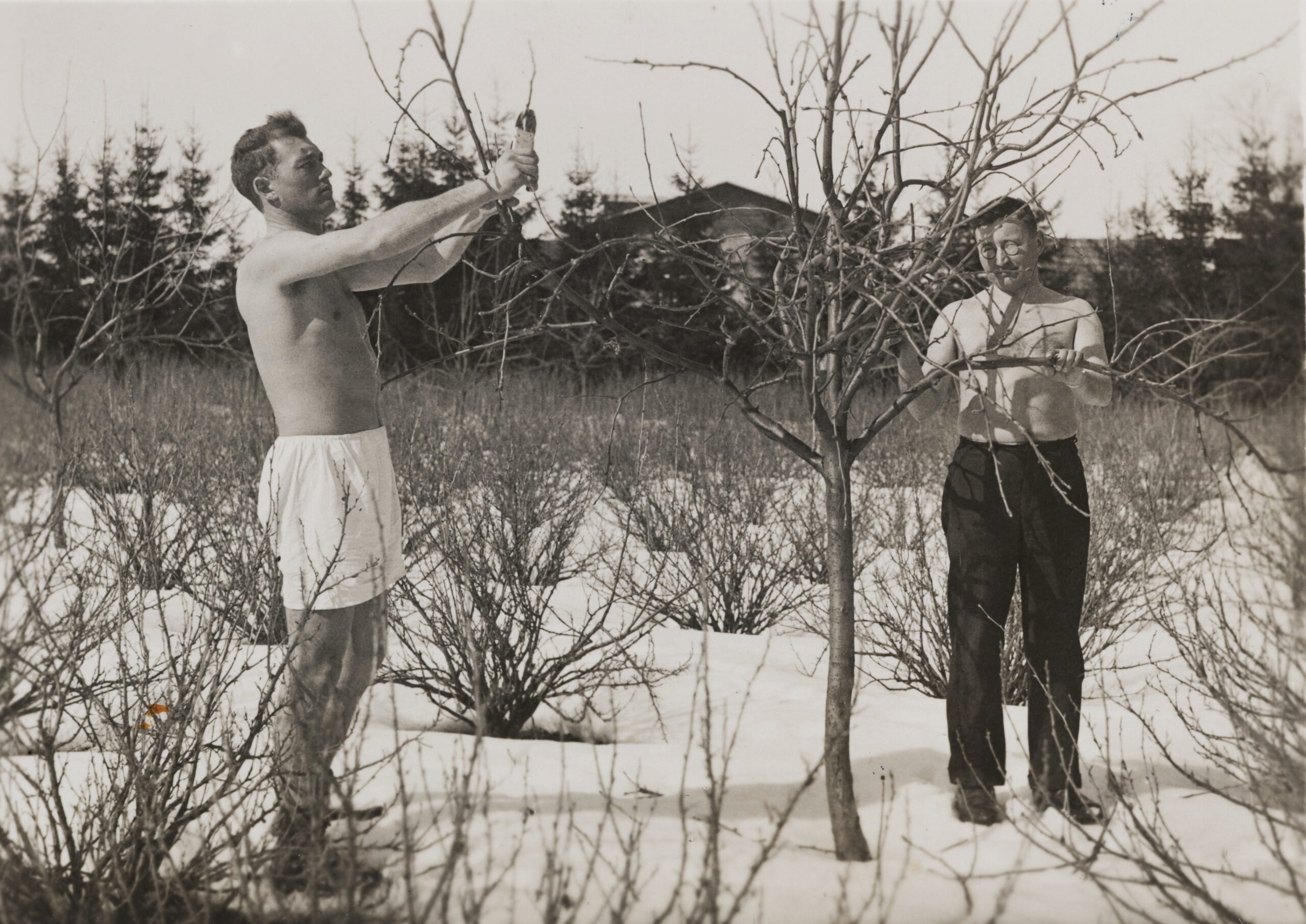 Foto Eesti Rahva Muuseumist. Fotograaf teadmata