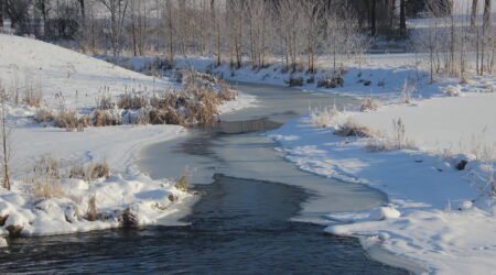 Pilt on illustratiivne. Foto Raimo Metsamärt
