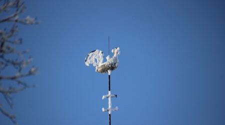 Foto Raimo Metsamärt