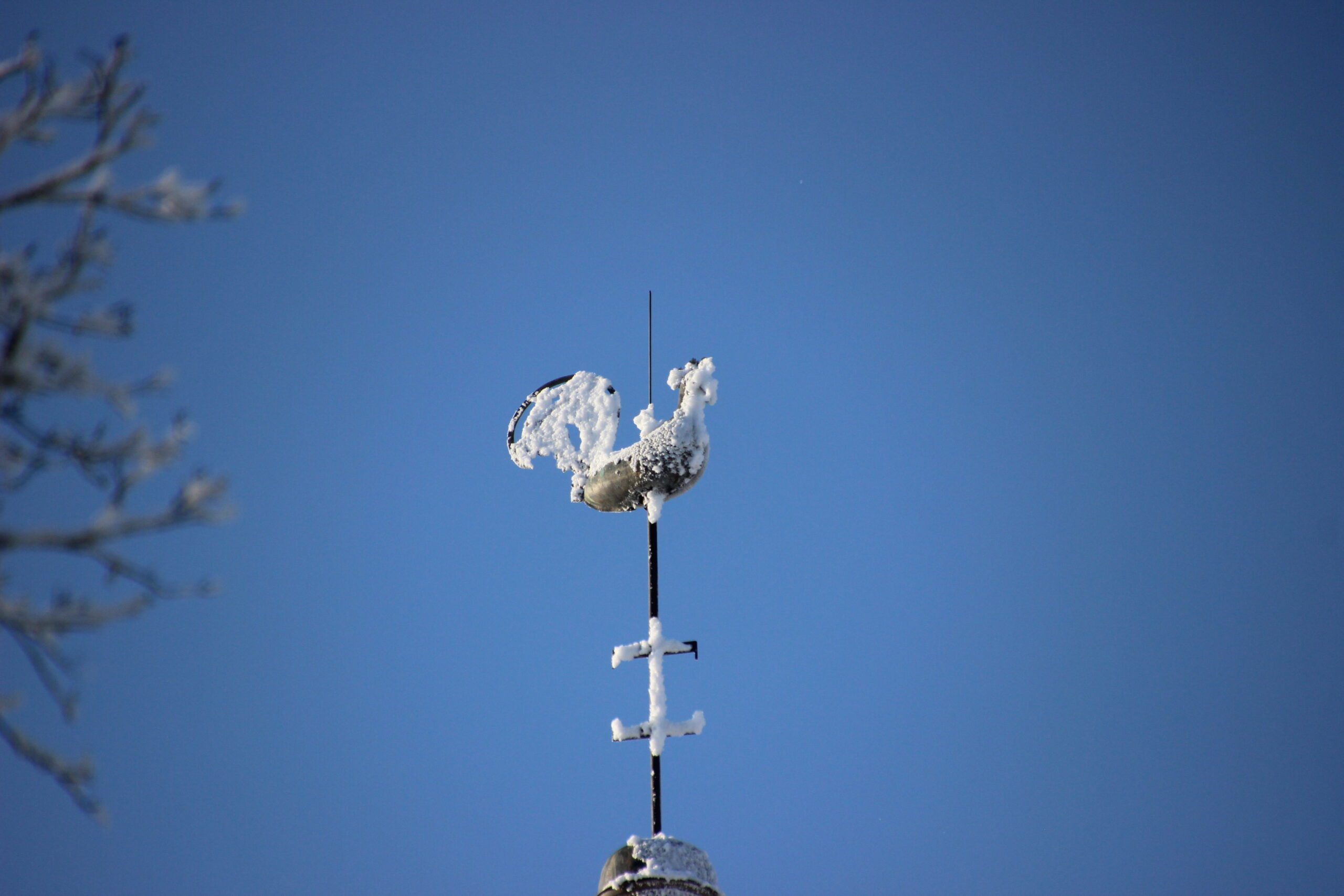 Foto Raimo Metsamärt