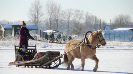 Foto Raimo Metsamärt