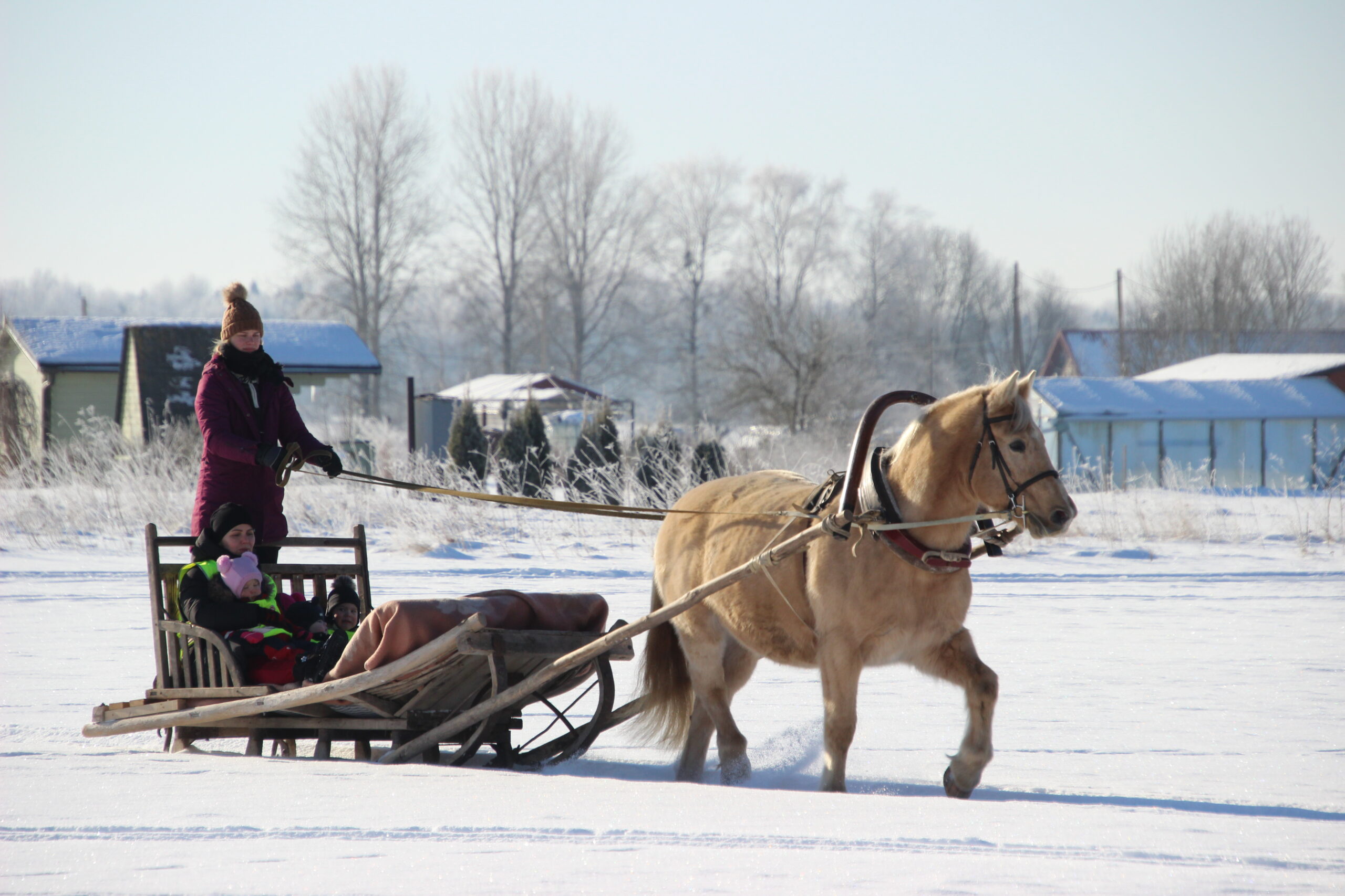 Foto Raimo Metsamärt