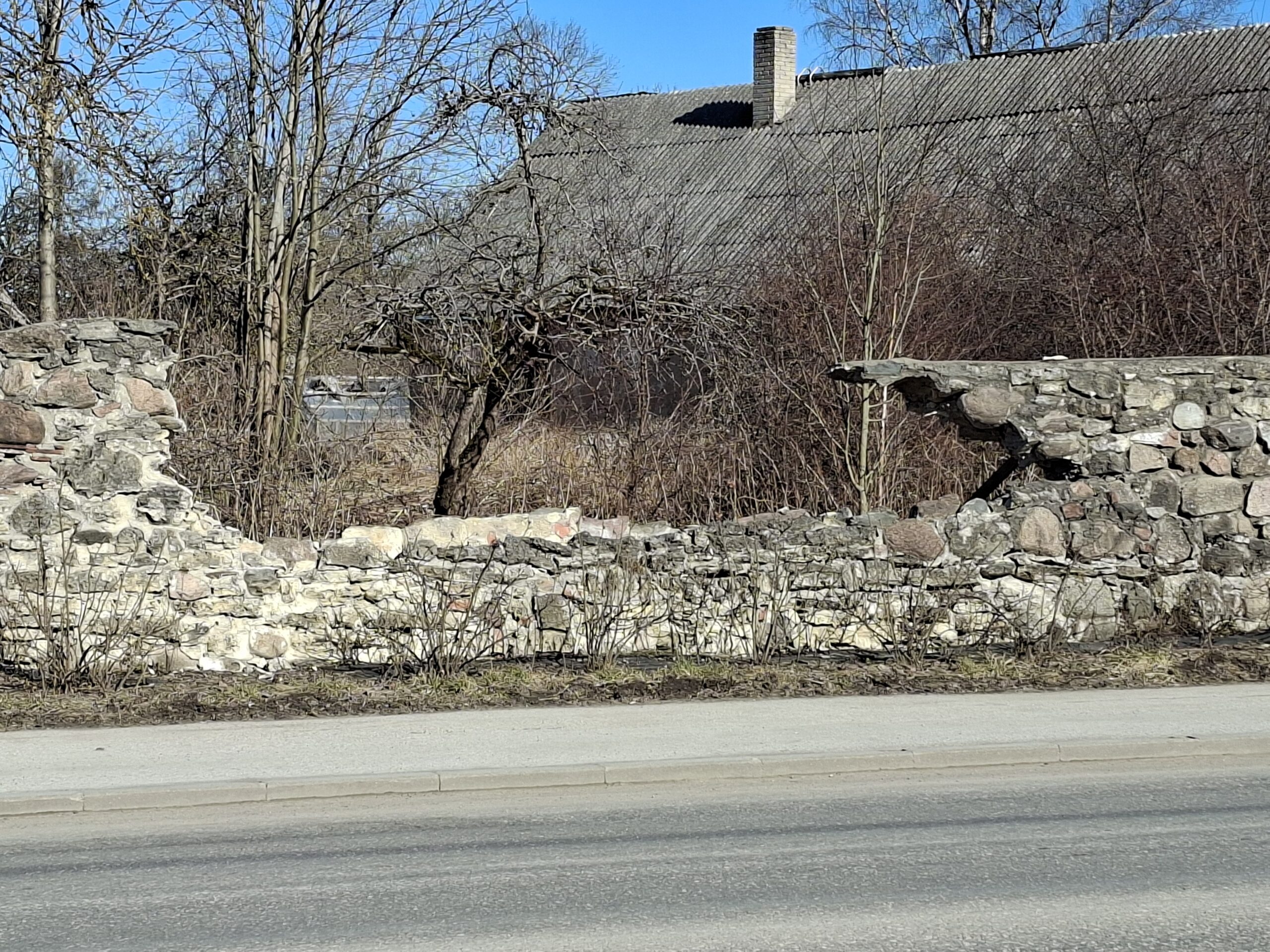 Foto Raimo Metsamärt