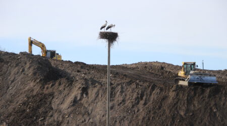 Foto Raimo Metsamärt