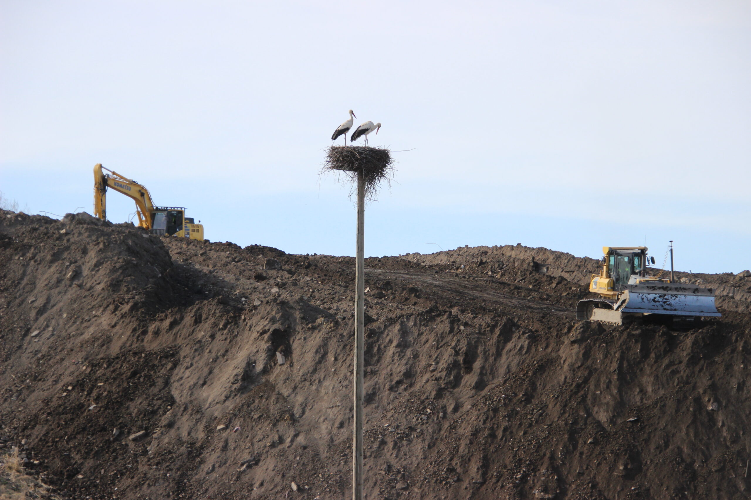 Foto Raimo Metsamärt