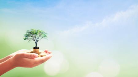 Illustreeriv pilt, Canva