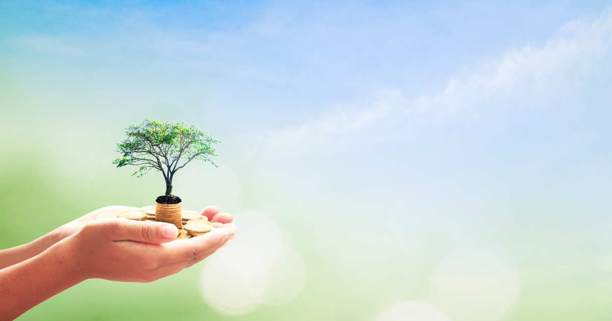 Illustreeriv pilt, Canva