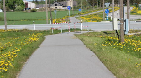 Kergtee. Illustreeriv foto. Foto Raimo Metsamärt