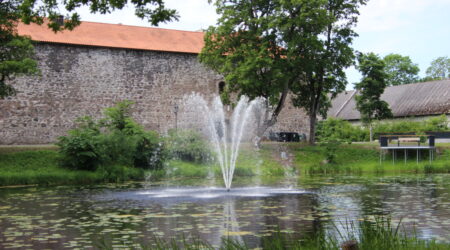 Foto Raimo Metsamärt