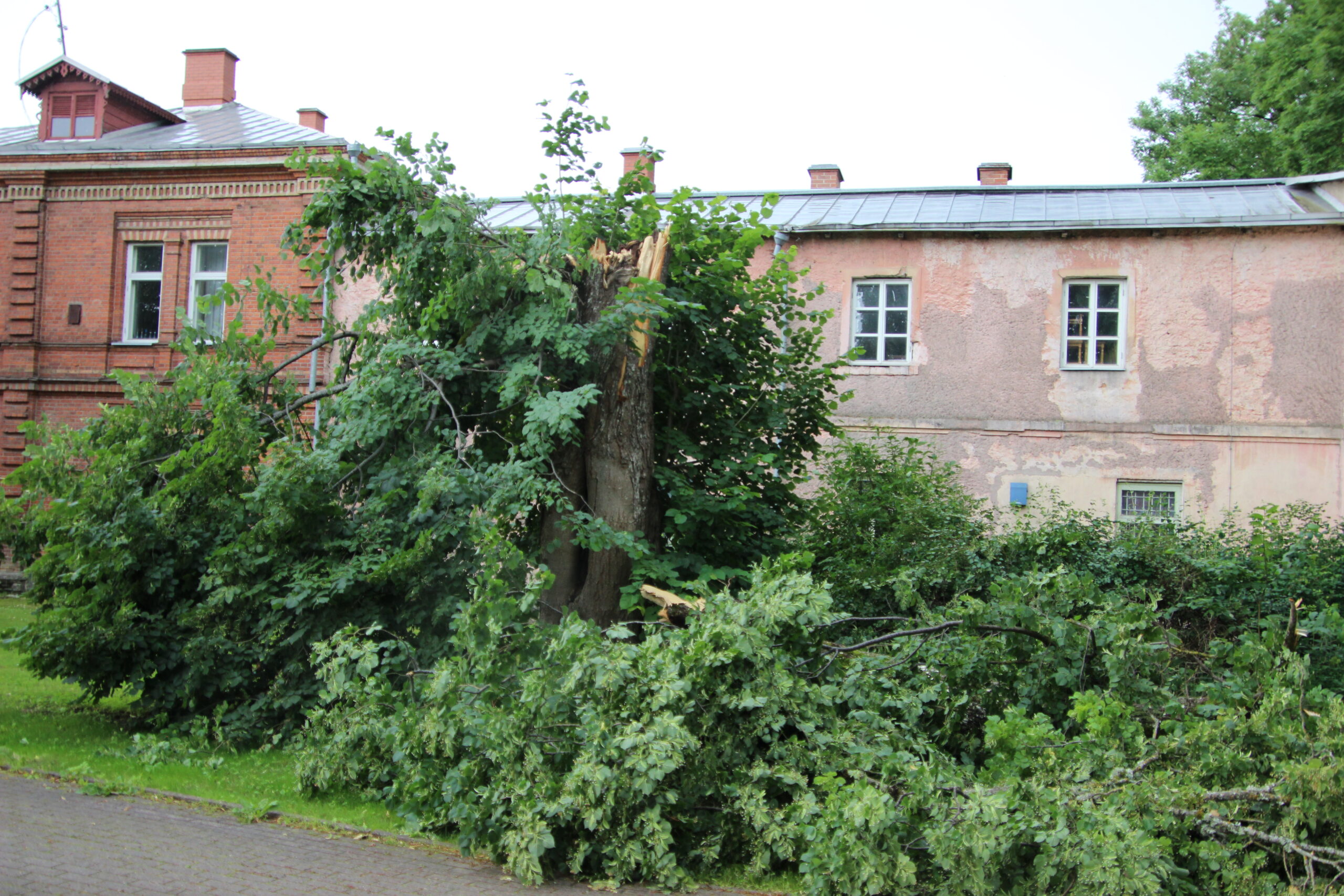 Foto Raimo Metsamärt