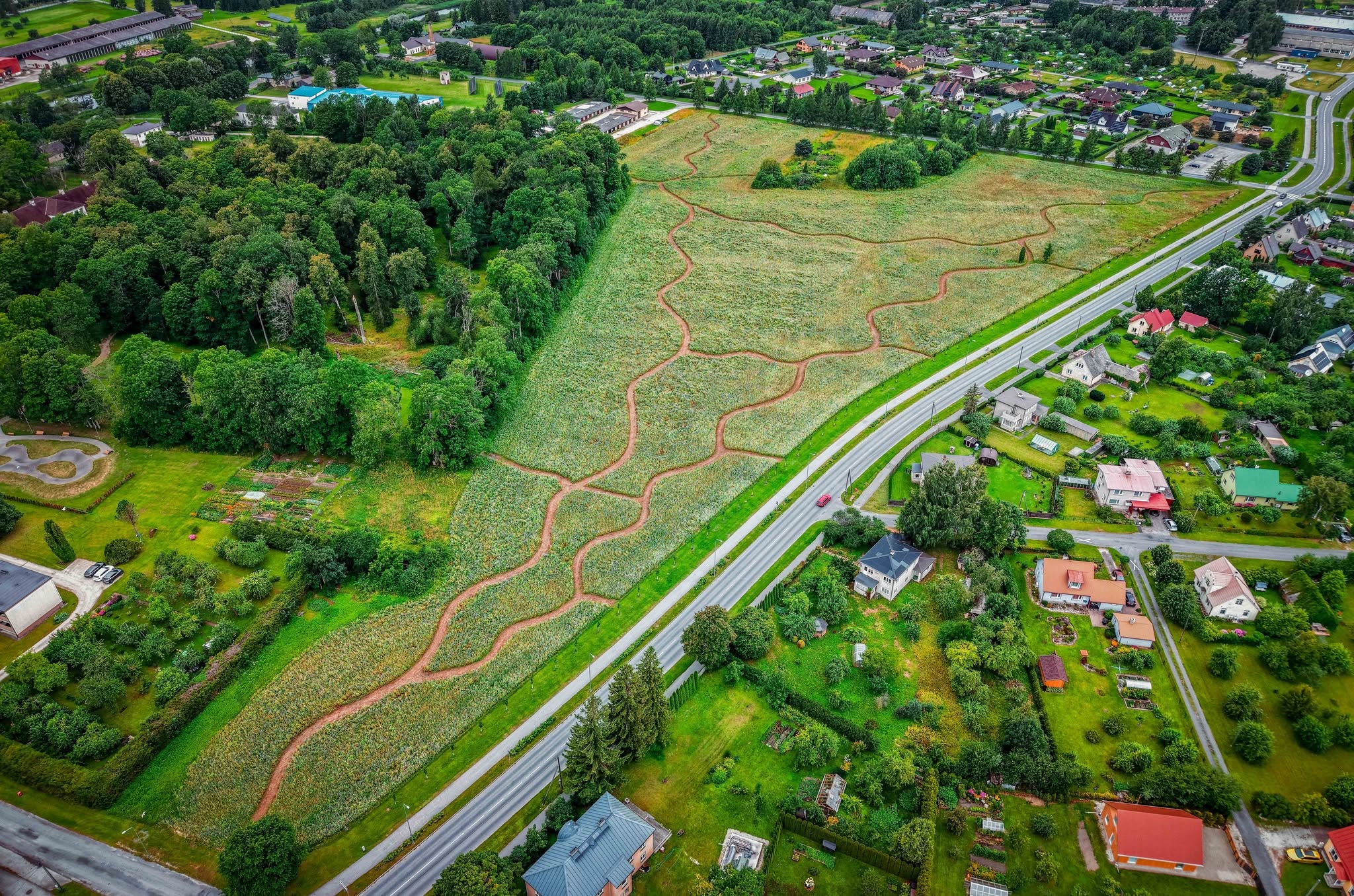 Foto erakogu