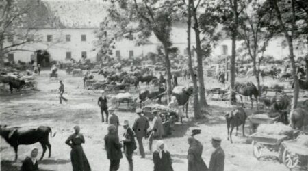 Foto rahvusarhiivi K. Pätsi fondist. Fotograaf teadamata