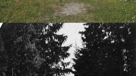 Foto allikas Keskkonnaportaal.ee